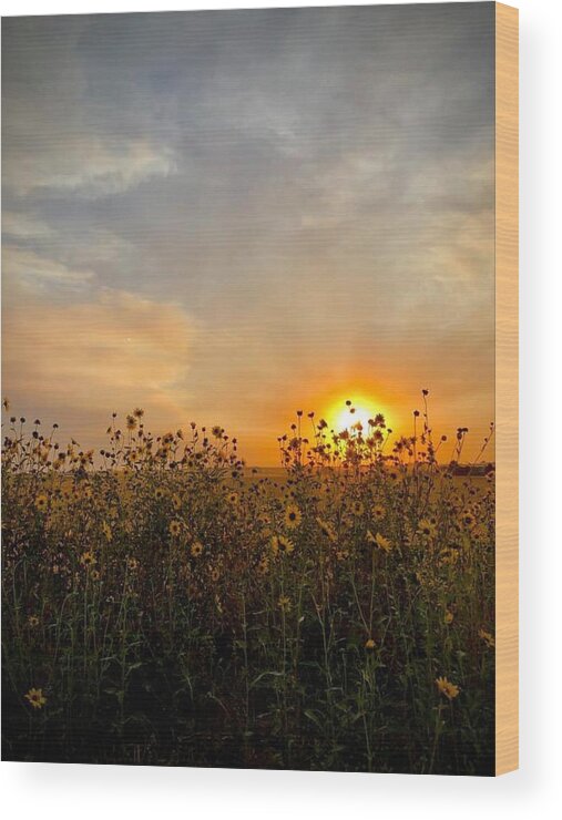 Iphonography Wood Print featuring the photograph iPhonography Sunset 3 by Julie Powell