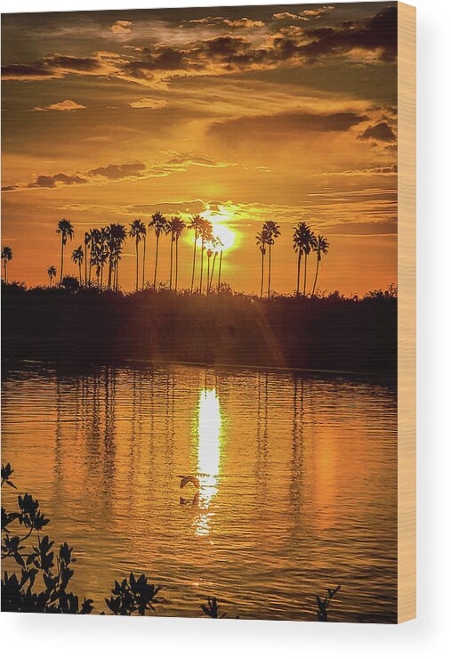 Sunrise Wood Print featuring the photograph Island Sunrise in New Smyrna Beach by Danny Mongosa
