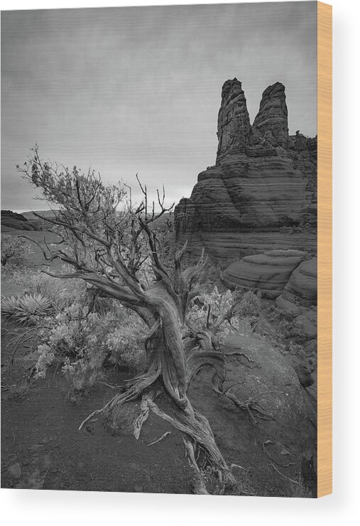 Sedona Wood Print featuring the photograph Juniper and Nuns - Sedona by Alexander Kunz