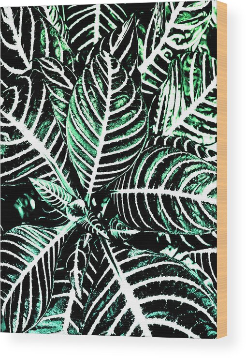 Leaves Wood Print featuring the photograph Just Green Leaves by Vanessa Thomas