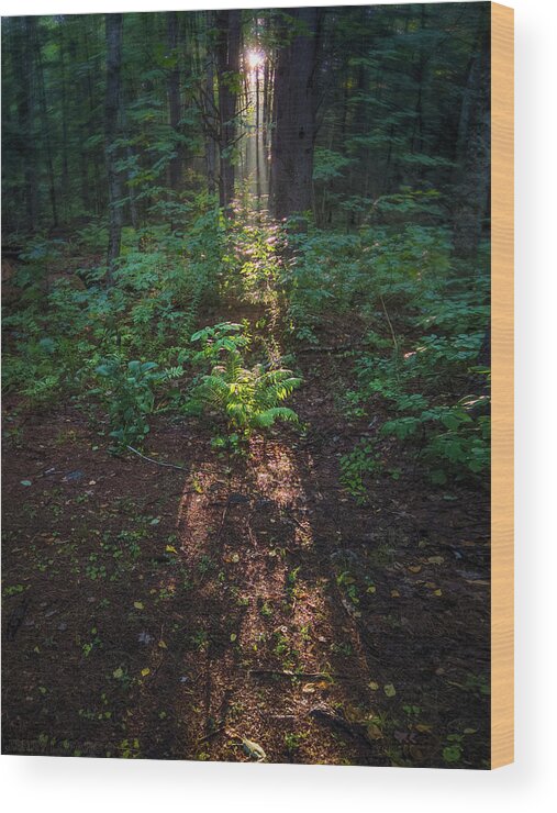 Light Wood Print featuring the photograph Keyhole in the Wilderness by Jerry LoFaro