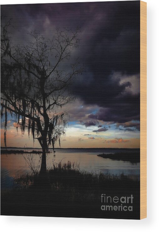 Lake Louisa Wood Print featuring the photograph Lake Louisa by Robert Stanhope