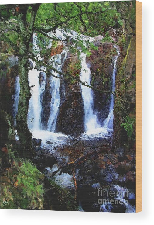 Lake District Wood Print featuring the photograph Langdale Waterfall by Brian Watt