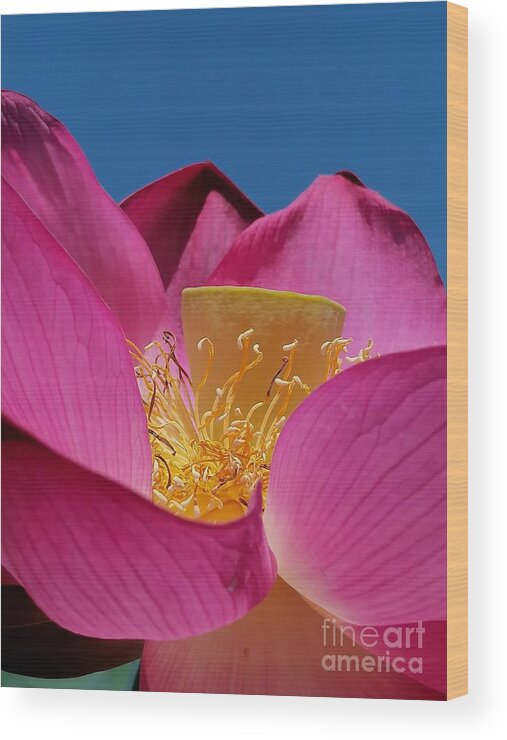 Lotus Wood Print featuring the photograph Le Lotus by Sylvie Leandre