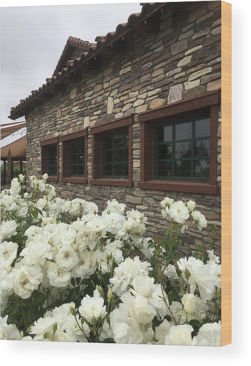 Lorimar Winery Wood Print featuring the photograph Lorimar Roses by Roxy Rich