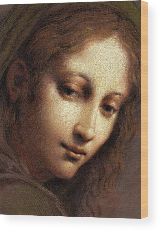 Madonna Wood Print featuring the pastel Madonna Study by Kurt Wenner