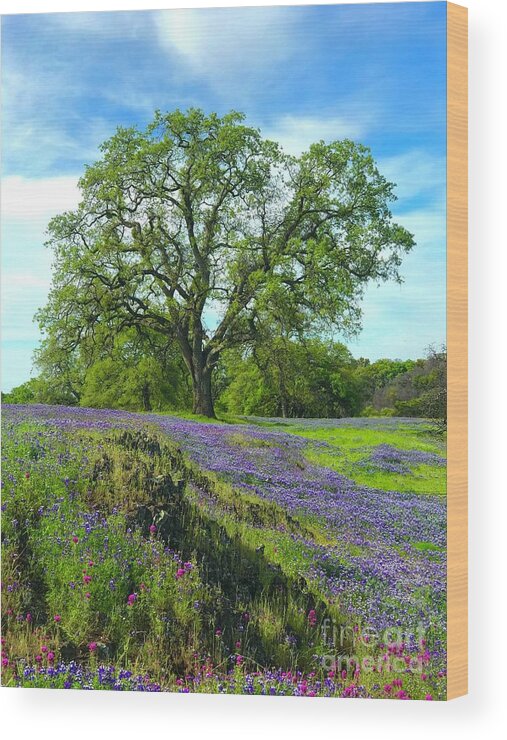 Trees Wood Print featuring the photograph Majestic Oak by Lisa Billingsley