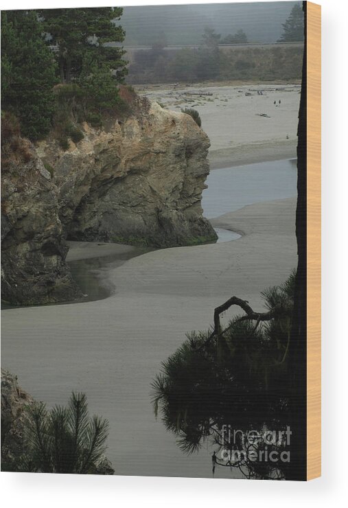 Coastline Wood Print featuring the photograph MendocinoQuiet by Mary Kobet