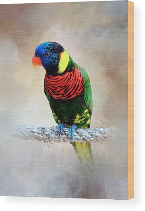 Bird Wood Print featuring the mixed media Multicolor Bird 87 by Lucie Dumas
