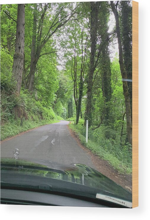 Trees. Tree Lined Road Wood Print featuring the photograph On the Road by Juliette Becker