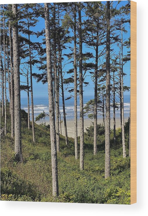 Beach Wood Print featuring the photograph Pacific Ocean at Seabrook 2 by Jerry Abbott