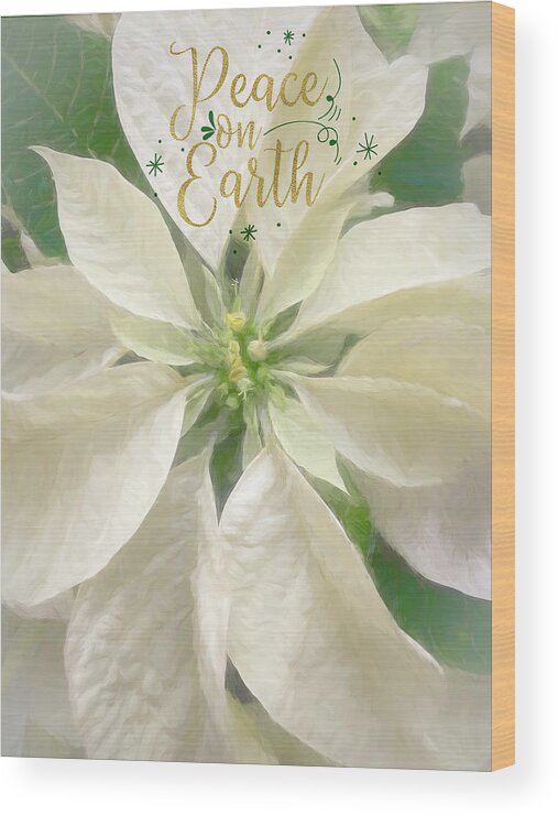 Poinsettia Wood Print featuring the photograph Peace on Earth - White Poinsettia by Teresa Wilson