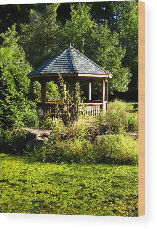Tranquil Wood Print featuring the photograph Pond and Gazebo in Golden Hour, Early Autumn by Steve Ember