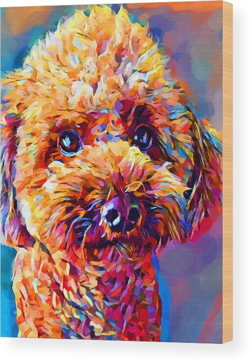 Dog Wood Print featuring the painting Poodle 2 by Chris Butler