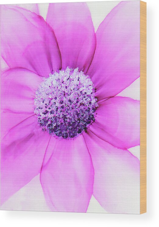 Floral Wood Print featuring the painting Pretty In Pink II by Kimberly Deene Langlois