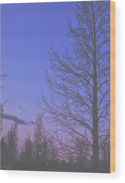 Trees Wood Print featuring the photograph Purple Twilight by Lisa Pearlman