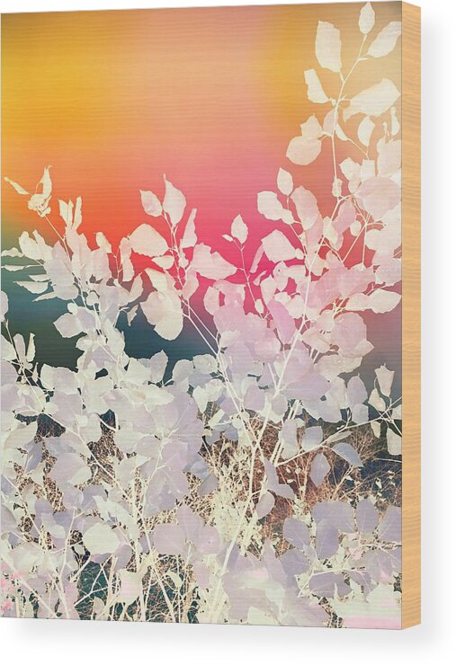 Colorful Wood Print featuring the mixed media Rainbow sky leafy abstract by Itsonlythemoon