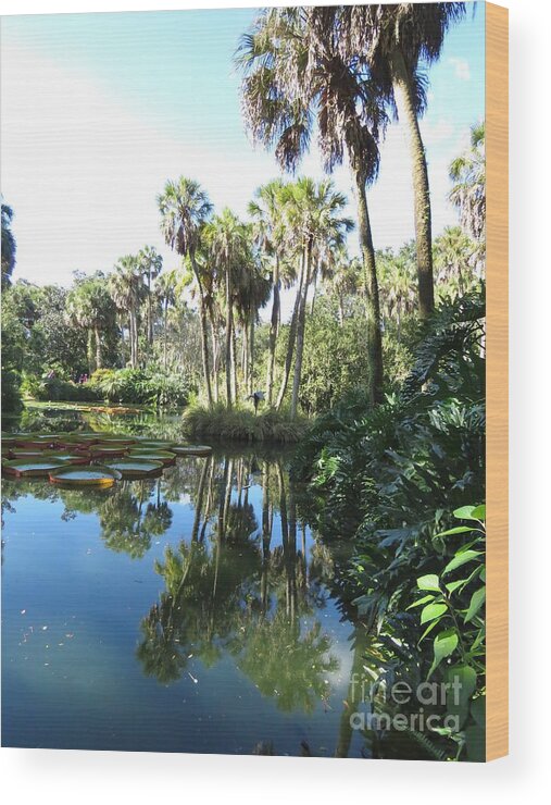 Amazon Water Lily Wood Print featuring the photograph Reflections of Bok Tower Pond by World Reflections By Sharon
