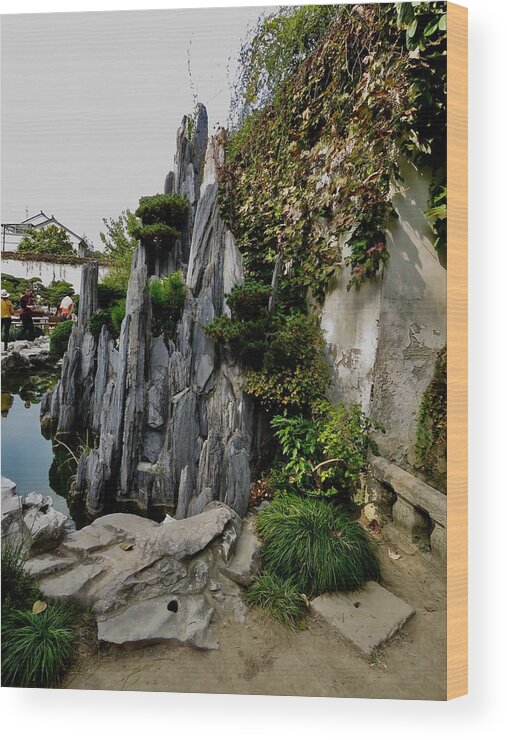 China Wood Print featuring the photograph Rock Garden by Kerry Obrist
