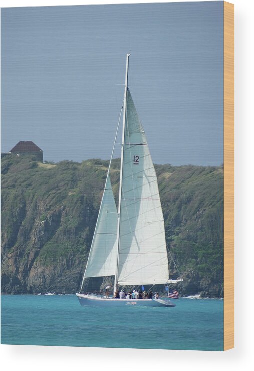 Ocean Scene Wood Print featuring the photograph Sailing in St Martin by Mike McGlothlen