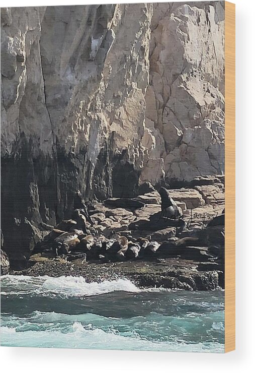 Cortez Sea Wood Print featuring the photograph Sea of Cortez by Medge Jaspan