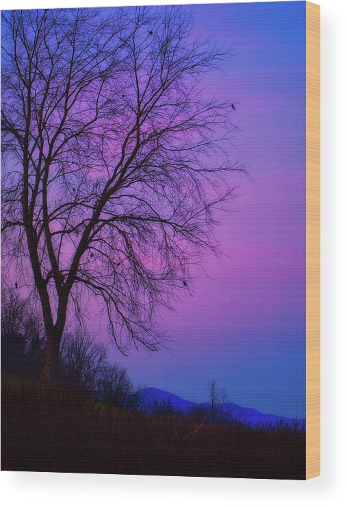 Nature Wood Print featuring the photograph Smoky Mountain Dusk by Judy Cuddehe