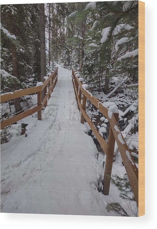 Landscape Wood Print featuring the photograph Snowy pathway by Erin Mitchell