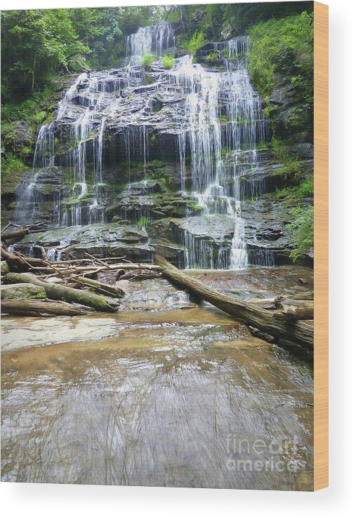 Station Wood Print featuring the photograph Station Cove Falls by Rodger Painter