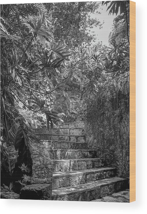 Chichen Itza Wood Print featuring the photograph Steps Near Cenote Chichen Itza by Frank Mari