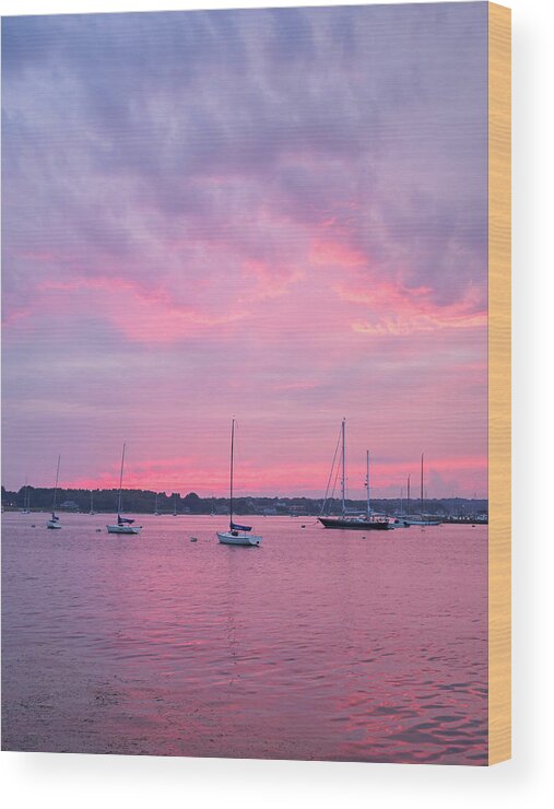 Pink Wood Print featuring the photograph Summer Sailboats Stonington by Marianne Campolongo