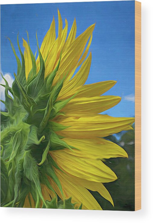  Wood Print featuring the mixed media Sunflower 221 by Cindy Greenstein