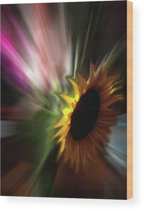 Abstract Wood Print featuring the photograph Sunflower Colors by Wayne King
