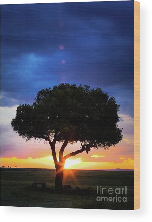 Mara Wood Print featuring the photograph Sunset in the Masai Mara with tree silhouette by Jane Rix