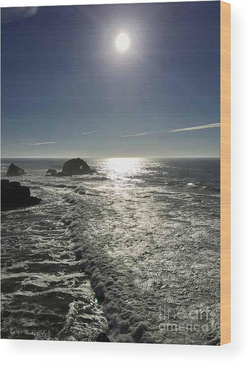 Scenic Wood Print featuring the photograph Sutro Baths 1-5 by J Doyne Miller