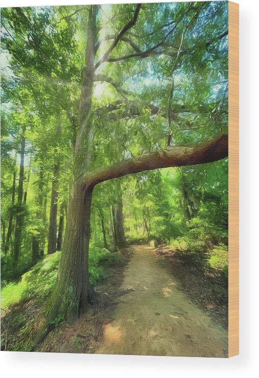 Narrow Path Wood Print featuring the photograph Take the Narrow Path by Michael Frank