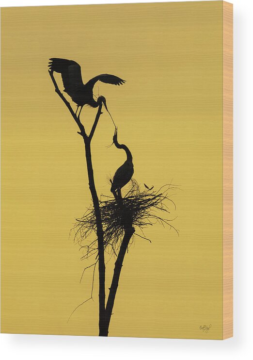 Great Blue Heron Wood Print featuring the photograph Teamwork by Everet Regal