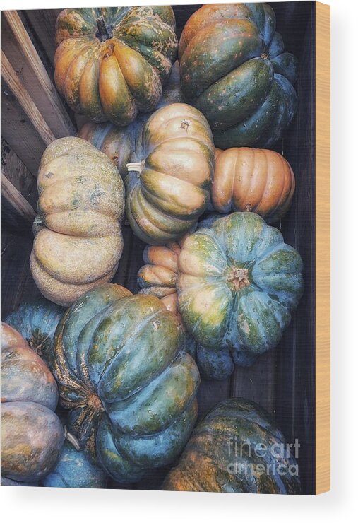 Pumpkins Wood Print featuring the photograph Thanksgiving Time by Diana Rajala