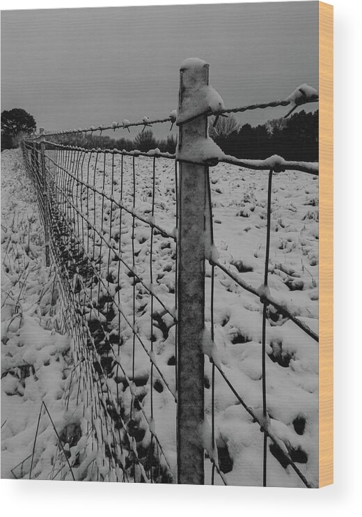 Fence Wood Print featuring the photograph The fence line by Jamie Tyler