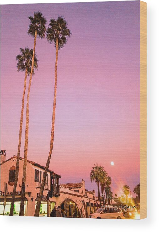 Apple Iphone 4s Wood Print featuring the photograph Three Palms Vacation Lifestyle Palm Springs by Amyn Nasser Photographer