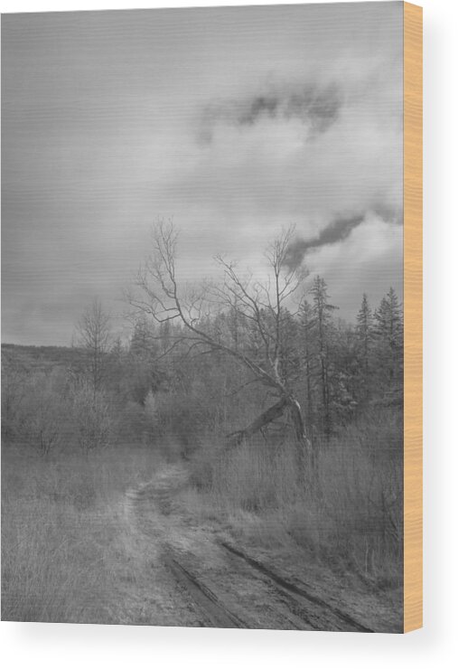 Infra Red Wood Print featuring the photograph Trailhead Tree by Alan Norsworthy
