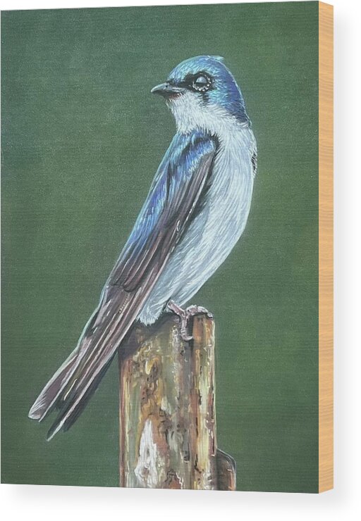 Bird Wood Print featuring the painting Tree Swallow by Mark Ray