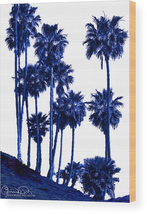 Tropical Blues 8 Wood Print featuring the photograph Tropical Blues 8 by Susan Molnar