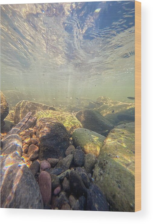 River Wood Print featuring the photograph Underwater Scene - Upper Delaware River by Amelia Pearn