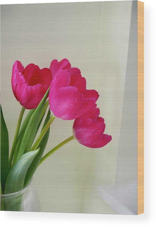 Flowers Wood Print featuring the photograph Vase Of Tulips By A Window by Alida M Haslett