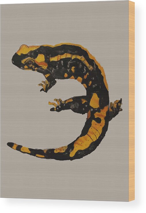 Fire Salamander Wood Print featuring the drawing Watercolor drawing of a fire salamander by Mounir Khalfouf