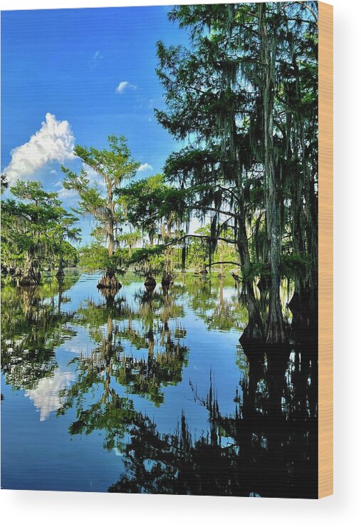 Lake Wood Print featuring the photograph Which Way is Up 2? by Tanya White
