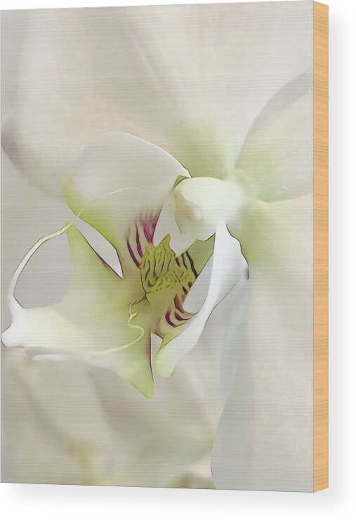  Wood Print featuring the digital art White Orchid by Cindy Greenstein