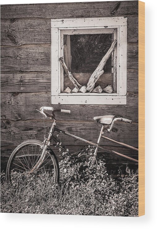 Artistic Wood Print featuring the photograph Window In Tandem, McClellanville, South Carolina by Dawna Moore Photography