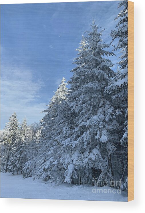  Wood Print featuring the photograph Winter Wonderland by Annamaria Frost