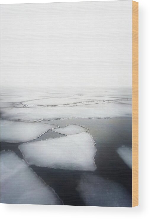 Ice Wood Print featuring the photograph Winter's End by Michelle Calkins